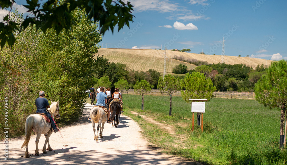 people walking whit horses in Italy people walking whit horses in Italy