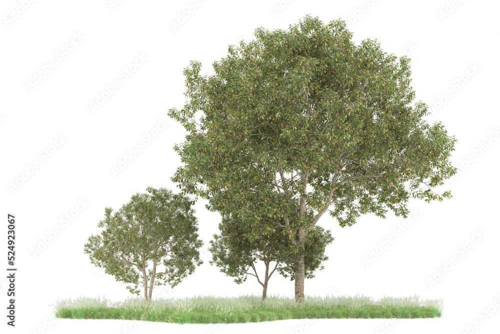 Forest on transparent background. 3d rendering - illustration Forest on transparent background. 3d rendering - illustration