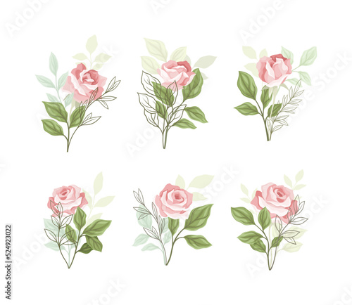 Beautiful Pink Rose Blossom on Stem with Green Leaf as Garden Flora Vector Set