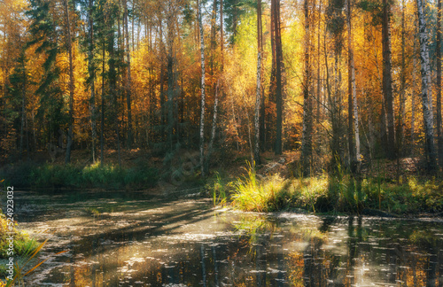 Early morning on the lake in the autumn forest