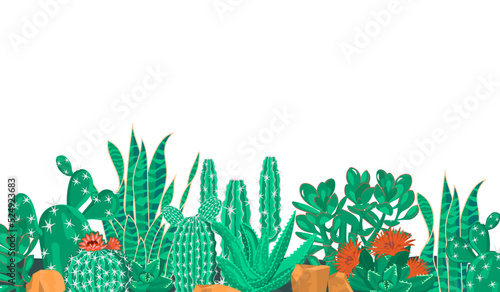 Horizontal banner with cacti and succulents.Floral background with space for text.Organic print on fabric and paper.Vector template for design card ,poster.Flat cartoon realistic illustration.
