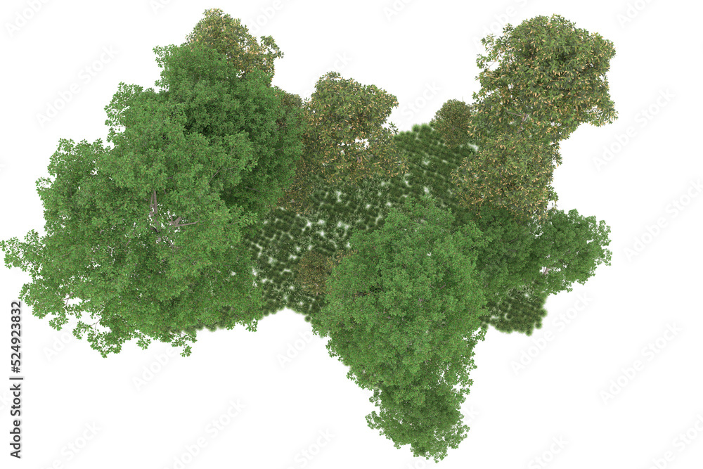 Forest on transparent background. 3d rendering - illustration Forest on transparent background. 3d rendering - illustration