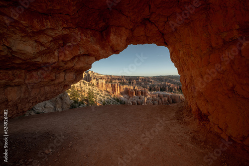 Print op canvas Trail Goes Under Tunnel near Bryce Point