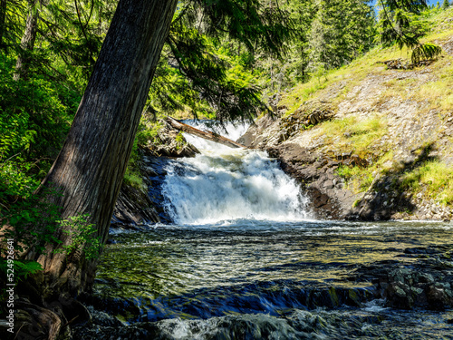 Fototapeta Naklejka Na Ścianę i Meble -  Waterfall in the forest of Elk River Idaho