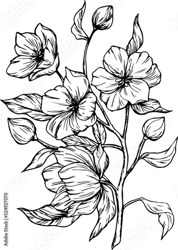 Drawn silhouette of a flower branch. Bloom. Branch. Ink. Spring. Flowers on a branch. Element for decoration.