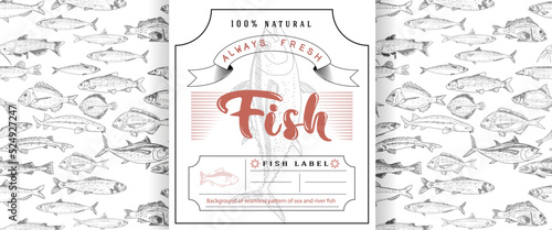 Fish vector design of packaging or label. Modern printed seafood background, vintage sketch of fish seamless pattern.