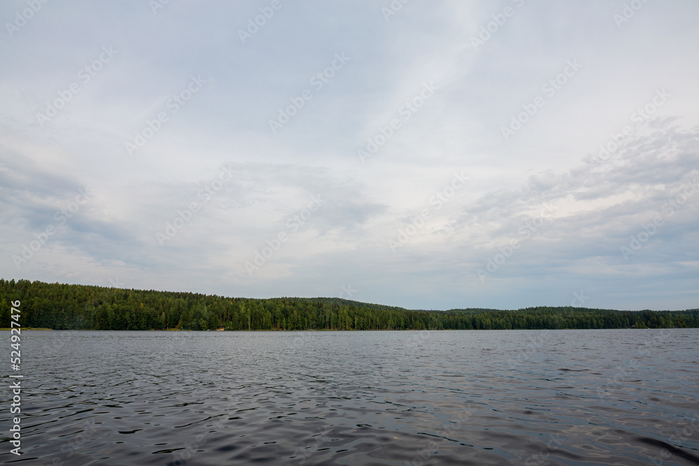 lake in the forest lake in the forest
