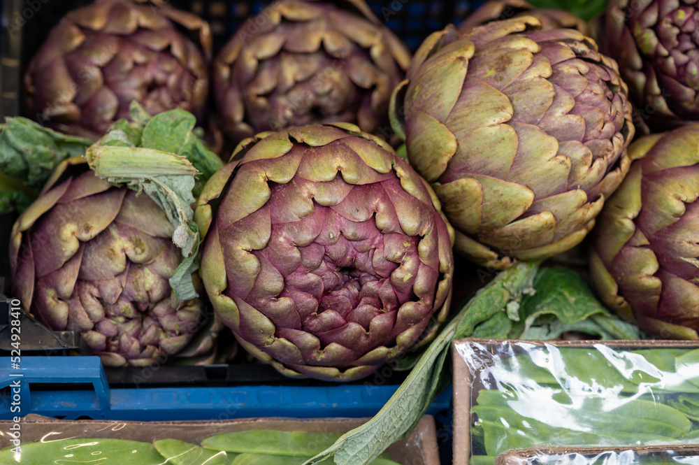 Fototapeta premium Heads of fresh organic artichoke flowers, edible vegetables purple romanesco artichokes