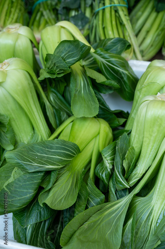 Fresh green chinese cabbage pak choi for sale on market