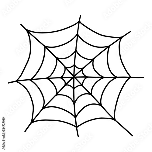Vector spider web doodle illustration. Hand drawn doodle spider web isolated