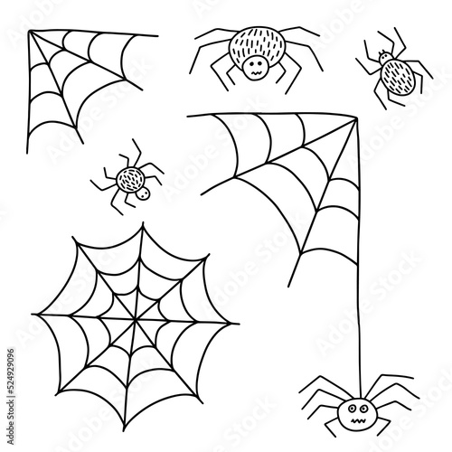Vector doodle spider web and spiders set. Hand drawn doodle spider web illustration