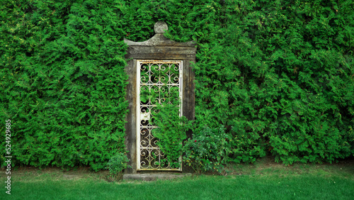 door in the garden