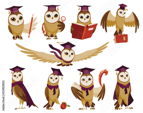 Owls wearing graduation caps. Cute wise owls with hats. Symbols of wisdom or graduation from higher or secondary educational institution