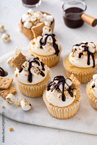 Smores cupcakes with graham crackers, toasted marshmallows and chocolate photo