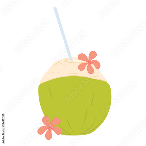 Coconut juice vector stock illustration. Green coconut with a drinking tube. Tropical cocktail. The flower of the plumeria. Isolated on a white background.