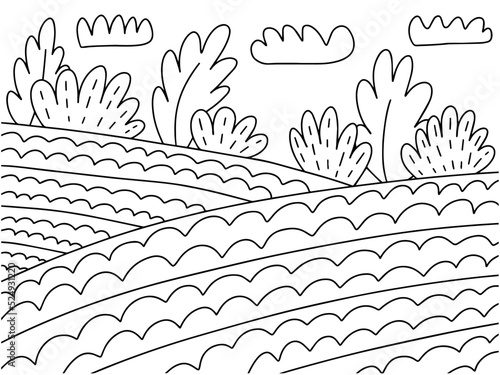 Coloring page with fields landscape. Haymaking harvest fields coloring page for children and adults