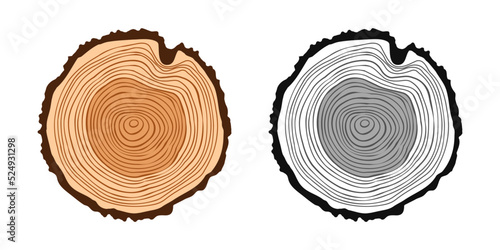 Round tree trunk cuts in various colors, sawn pine or oak slices, lumber. Saw cut timber, wood. Brown wooden texture with tree rings. Hand drawn sketch. Vector illustration