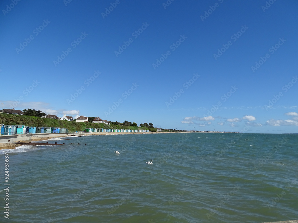 Panorama of colorful beach huts, in Lee on Solent in Hampshire, blue sky with little cloud, two swans bobbing about in the green sea in foreground