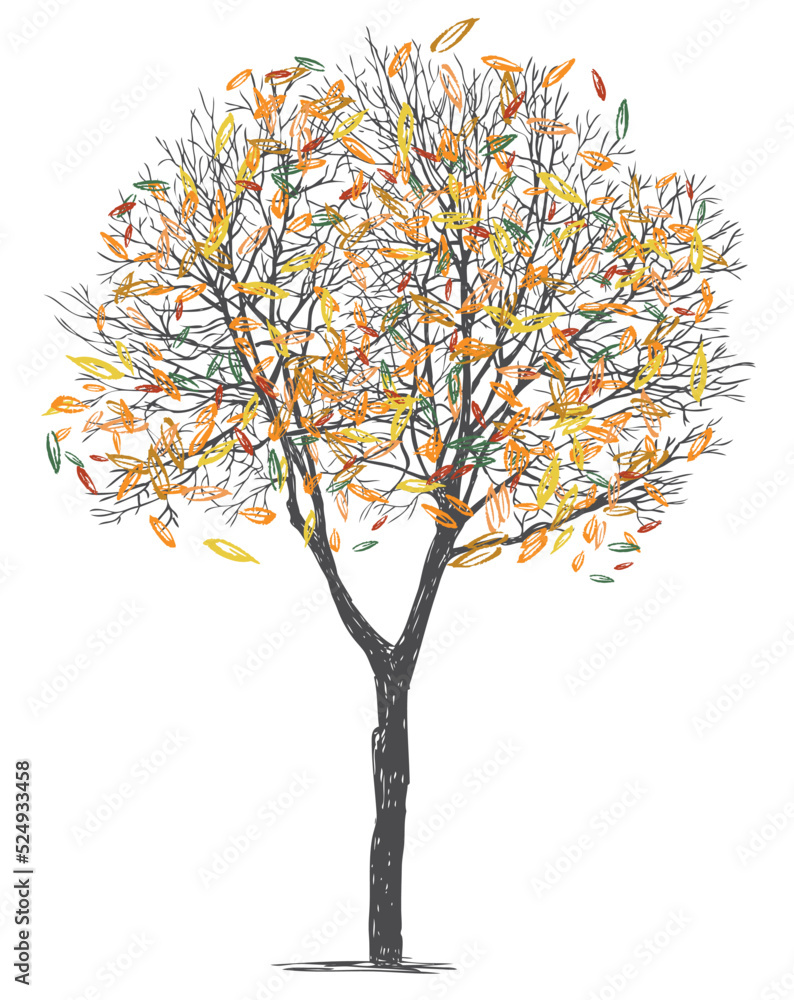 Hand drawing of silhouette deciduous tree with autumn foliage