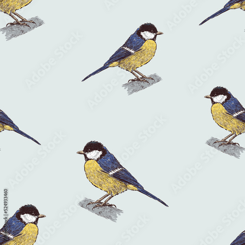 Seamless background of drawn bird titmouse