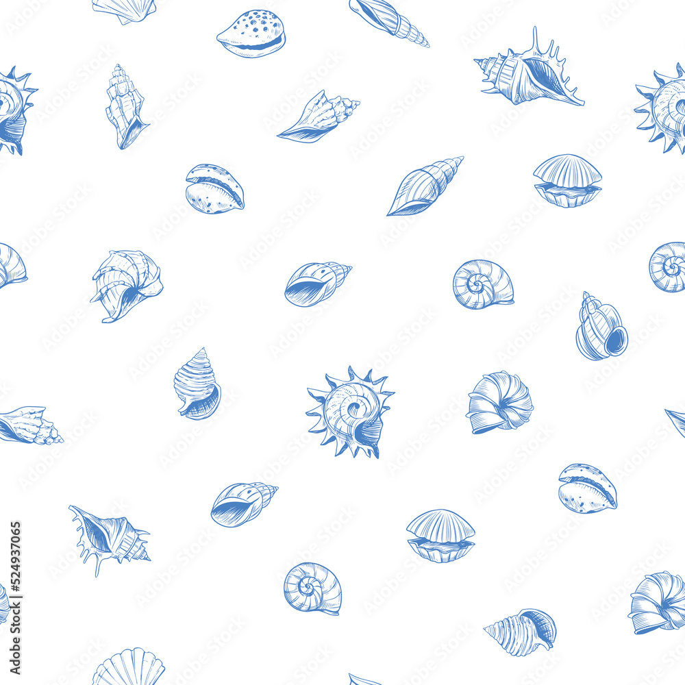 Obraz premium Seashells pattern. sketch style. set of vector illustrations