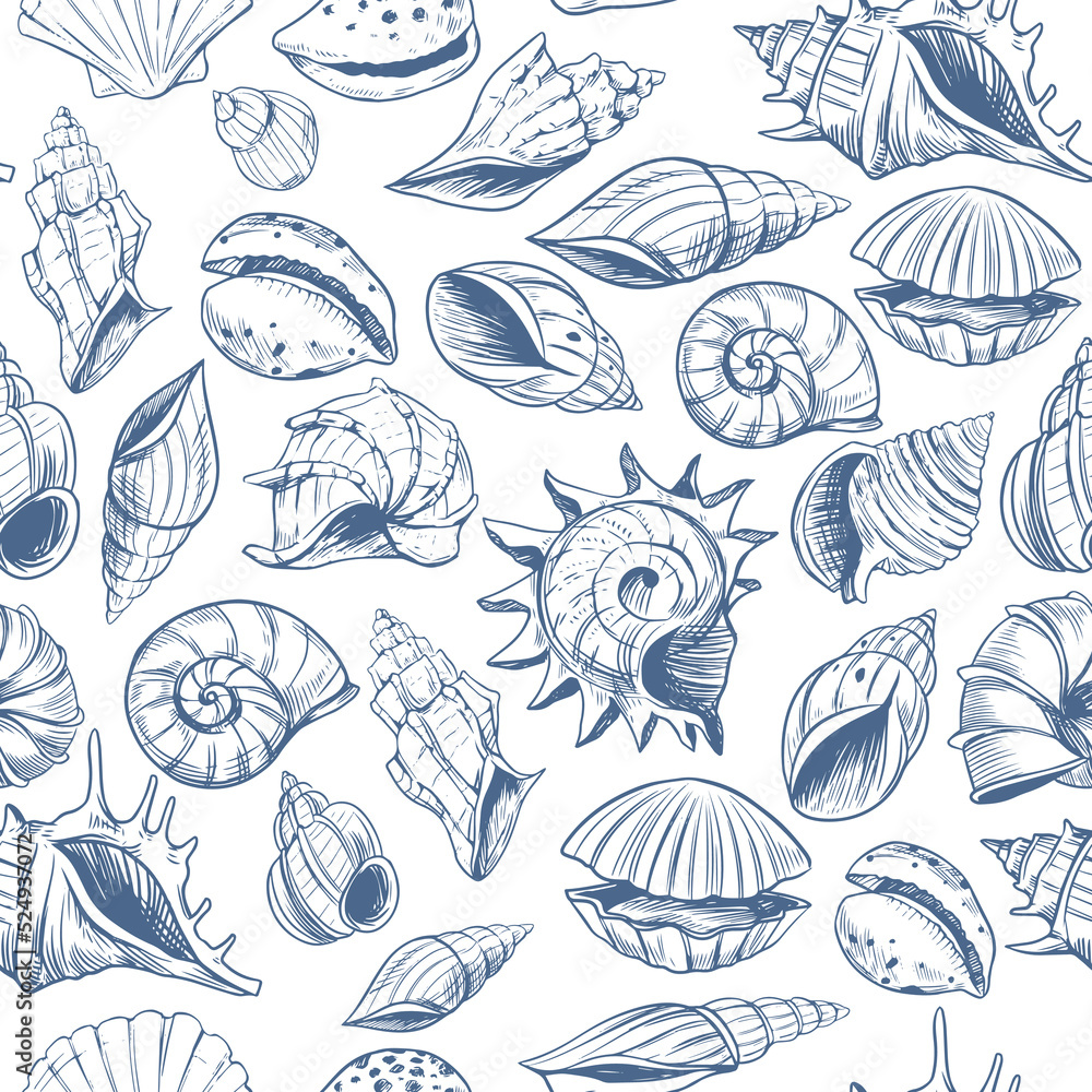 Seashells pattern. sketch style. set of vector illustrations Seashells pattern. sketch style. set of vector illustrations