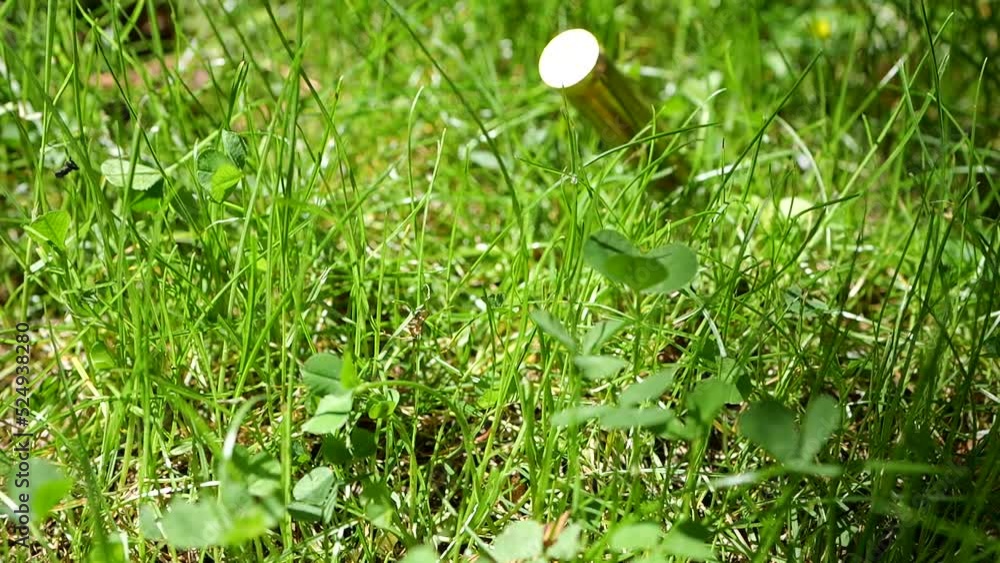 Bullet casings fall into the grass. Slow motion. Bullet casings fall into the grass. Slow motion.