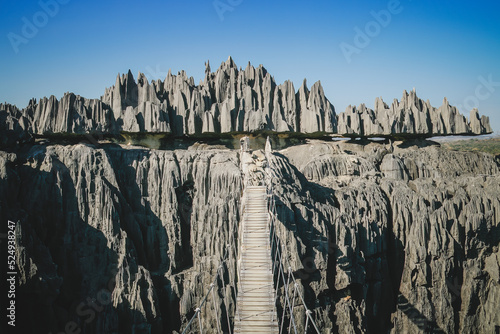 Tsingy of the Bemaraha, Madagascar, Africa