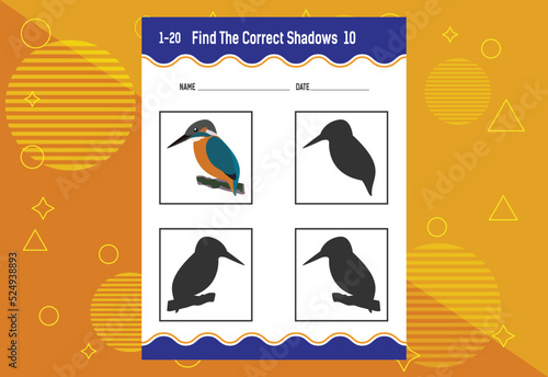 Find the correct shadow. Education developing worksheet. Matching game for kids.