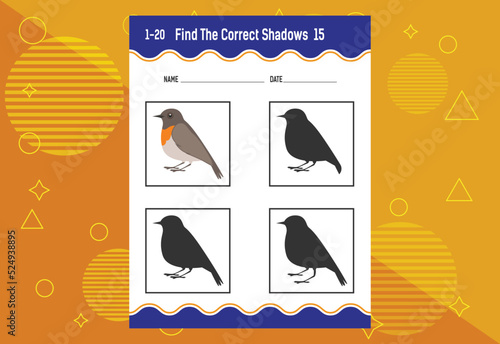 Find the correct shadow. Education developing worksheet. Matching game for kids.