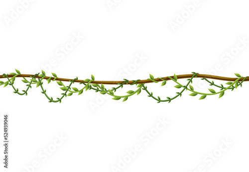 Liana stem border. Rainforest green vine or twisted plant hanging on branch. Cartoon jungle creeper. Tropical nature plant