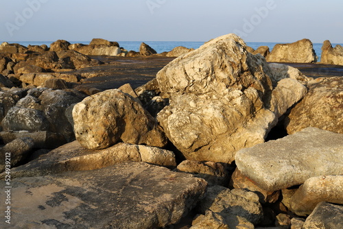 Stones and shells in a city park on the Mediterranean coast.