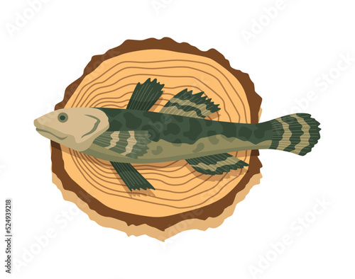 Fish on wooden board. Kitchen cutting board with healthy meal meat. Foodstuff in cartoon style. Concept organic wild river or ocean food
