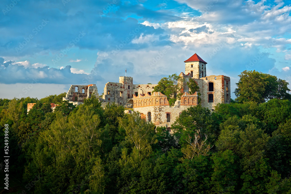 Tenczyn Castle is medieval castle in village Rudno in Polish Jura, Poland, pillaged and burned by Swedish-Brandenburgian forces, stands on the remnants of a Permian period lava stream at Castle Hill
