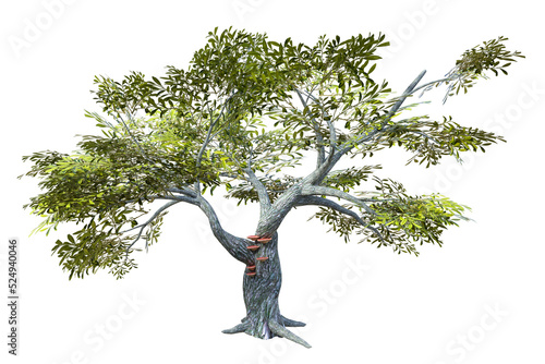 Fototapeta Naklejka Na Ścianę i Meble -  Fantastic tree isolated. 3d render