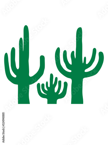 3 Kakteen Wüste Silhouette 