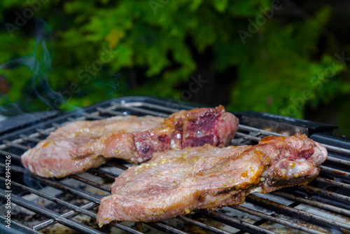 Baking grilled pork meat in the garden