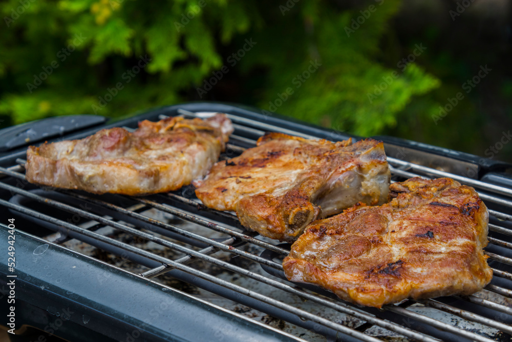 Baking grilled pork meat in the garden