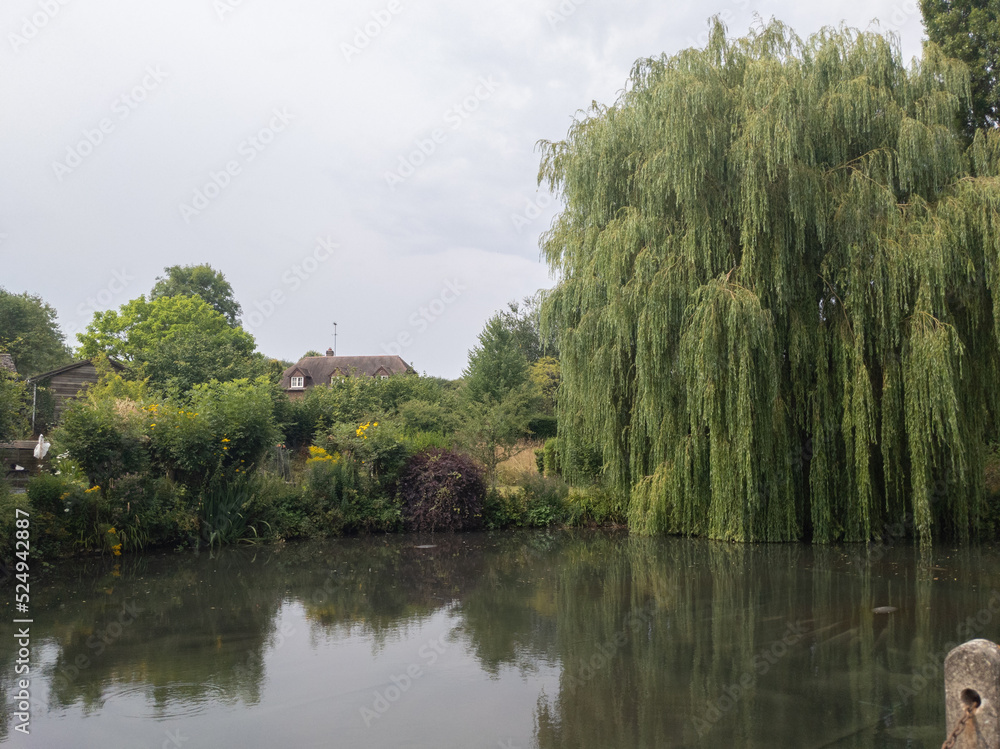 Fototapeta premium A pond in the village of Wilton, Wiltshire