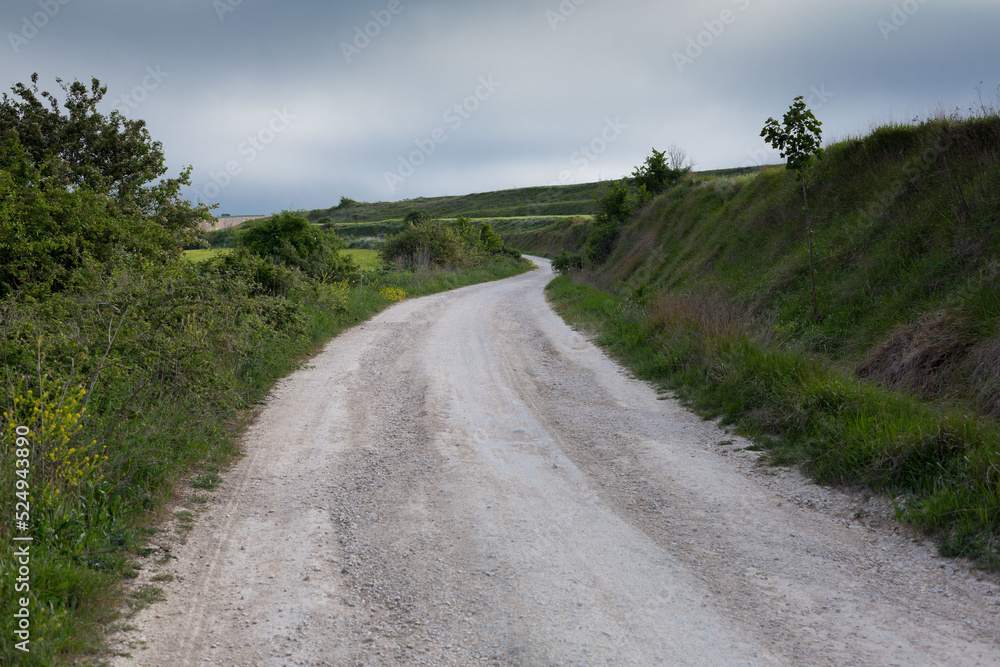 Dirt roads in Castile, in spring, passage of pilgrims on the Camino de Santiago