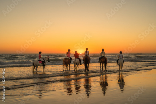 6 young riders mounted on their horses watching the sunset with the horses treading water