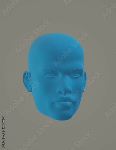3d human head