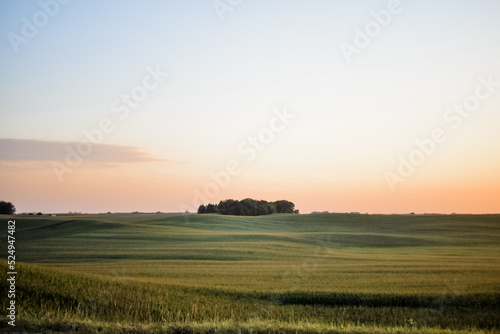 Rolling fields of Minnesota photo