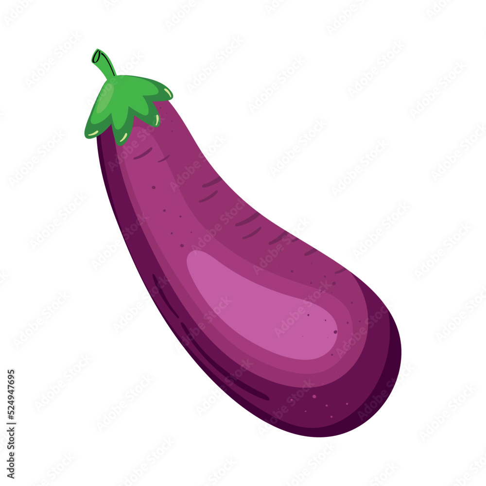 fresh eggplant vegetable