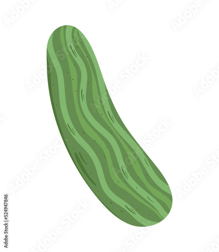 fresh cucumber vegetable