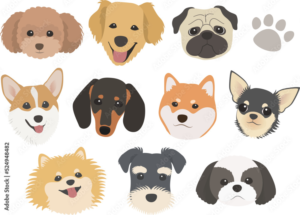 色んな犬種の顔イラストセット2 ベクターイラスト Stock Vektorgrafik Adobe Stock