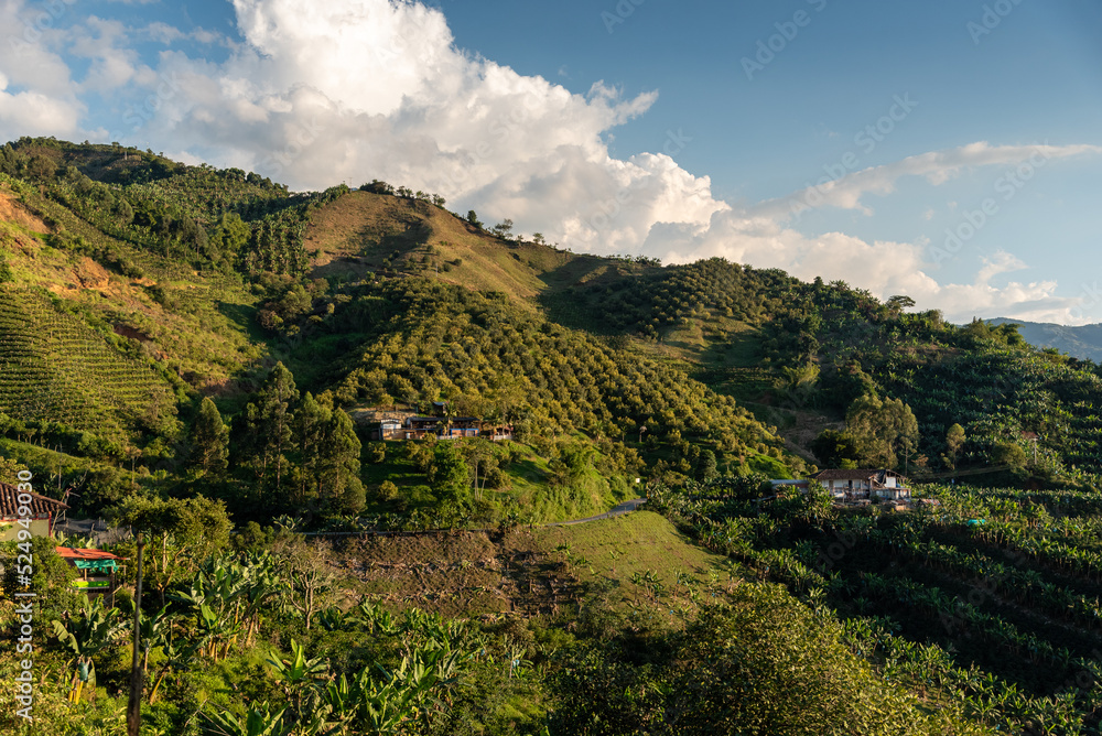 Crop farms on the slopes of a mountain in a landscape in Colombia.