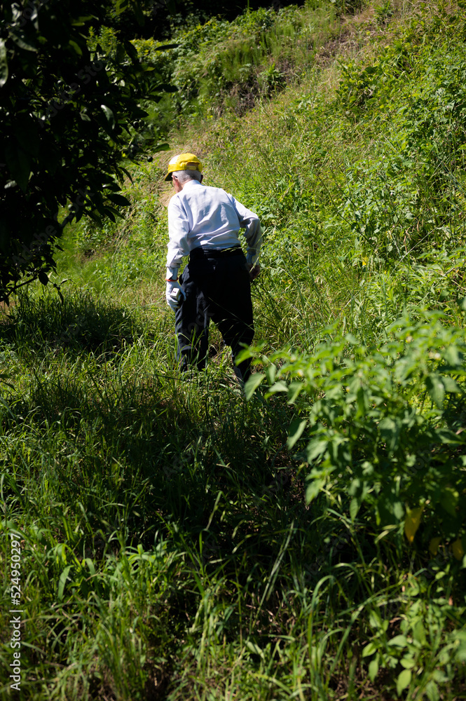 山道を一人で歩いている老人の後ろ姿 山道を一人で歩いている老人の後ろ姿