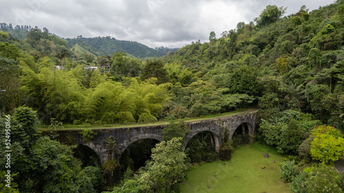 Bridge inside the forest in Boquía, Salento. Colombia