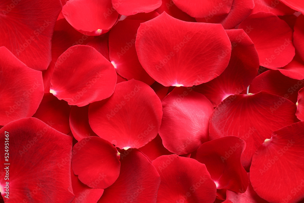 Fresh red rose petals as background, closeup Fresh red rose petals as background, closeup
